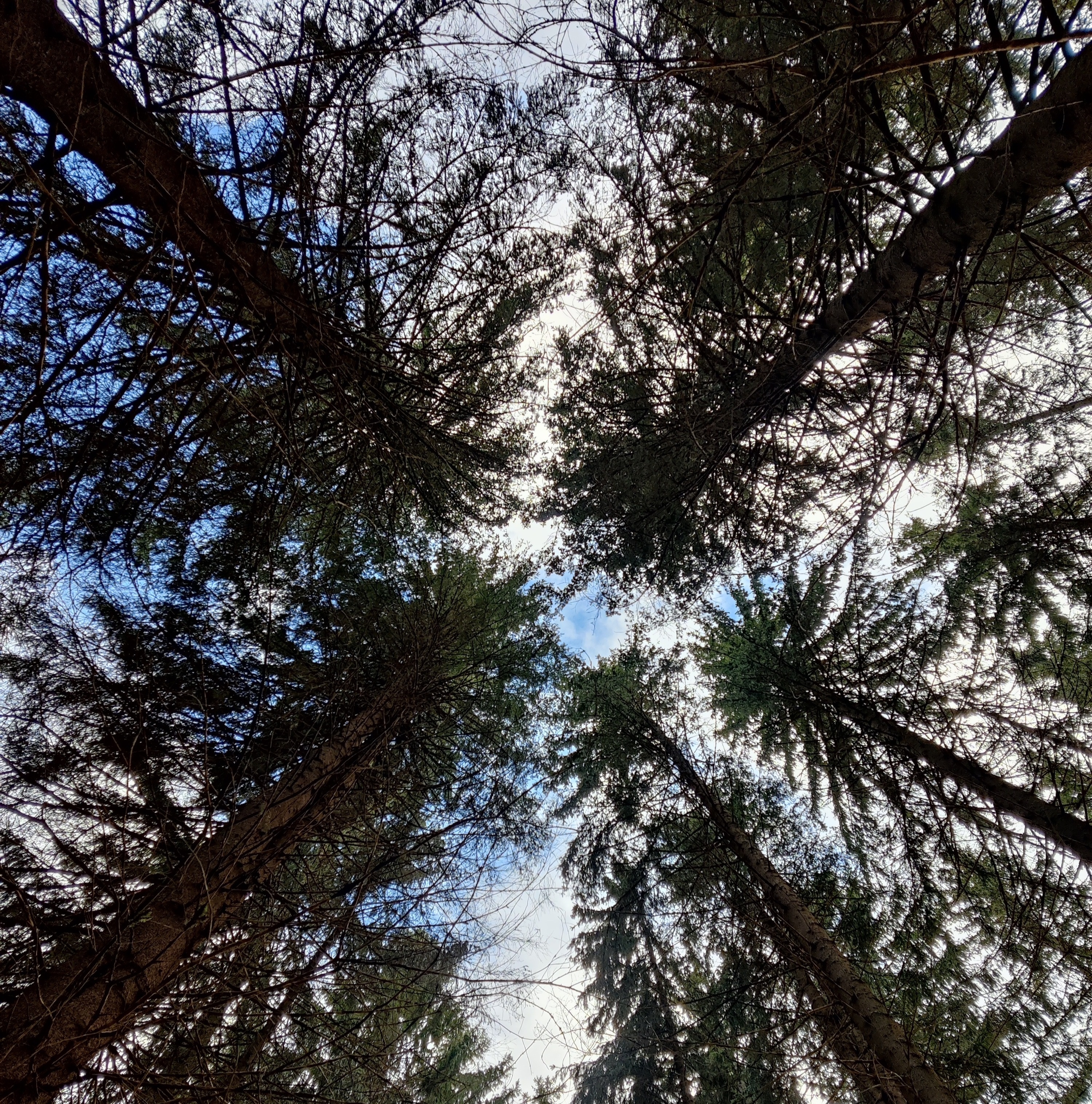 Leanfil pussisuodattimien valikoima